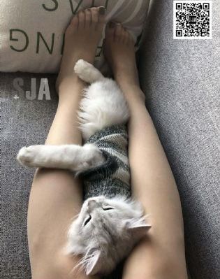 国产spa盗摄xo在线观看_高清直播在线观看