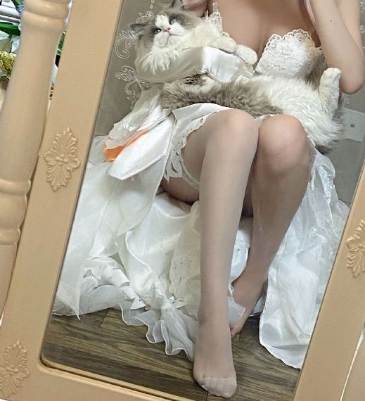 家庭女教师在线_DVD高清完整版播放