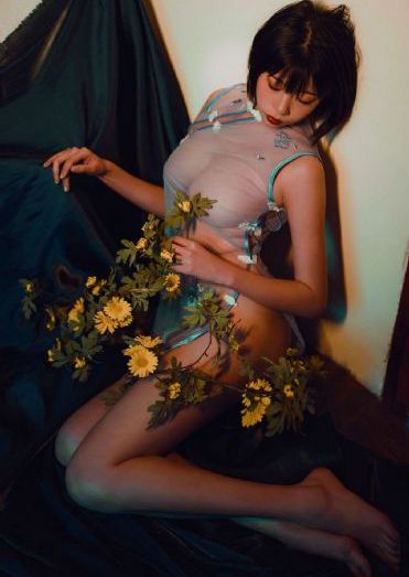 野花香47集免费看_蓝光免费观看电视剧
